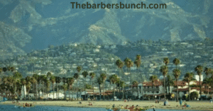 https://barberbunchs.com/