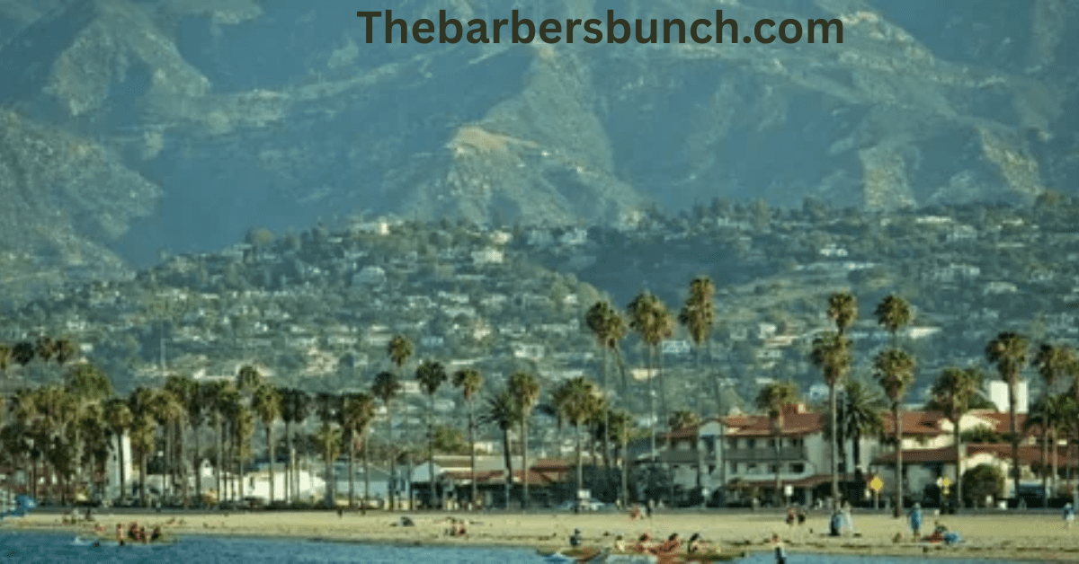 https://barberbunchs.com/